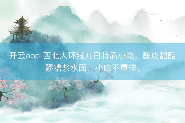 开云app 西北大环线九日特质小吃，酿皮甜醅醪糟浆水面，小吃不重样。