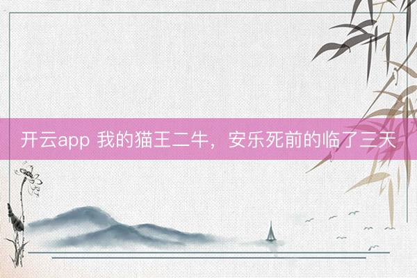 开云app 我的猫王二牛，安乐死前的临了三天